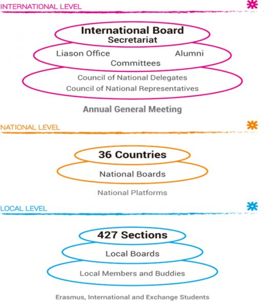Figure showing the structure of ESN: the international, national and local level